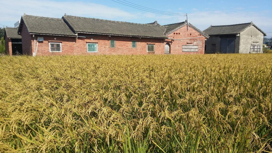 Exterior & Views, N-square Hostel, Miaoli