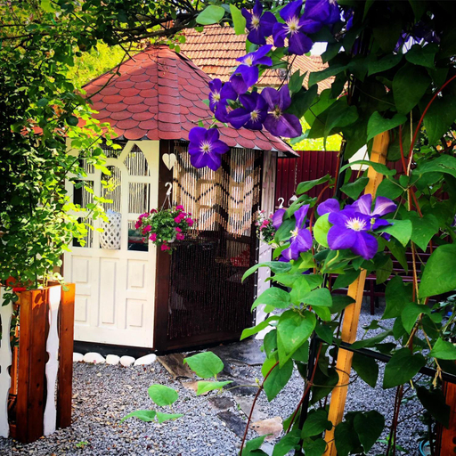 Others 3, Casa Rosca, Sighisoara