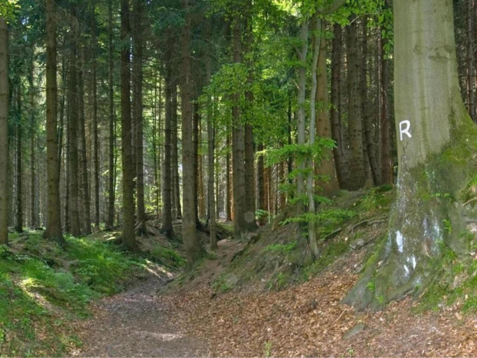 Others 5, Friedlicher Waldurlaub in Altenfeld, Ilm-Kreis