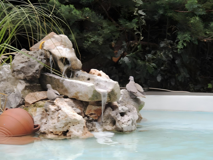 Sport & Beauty 5, Albergo delle Terme, Frosinone