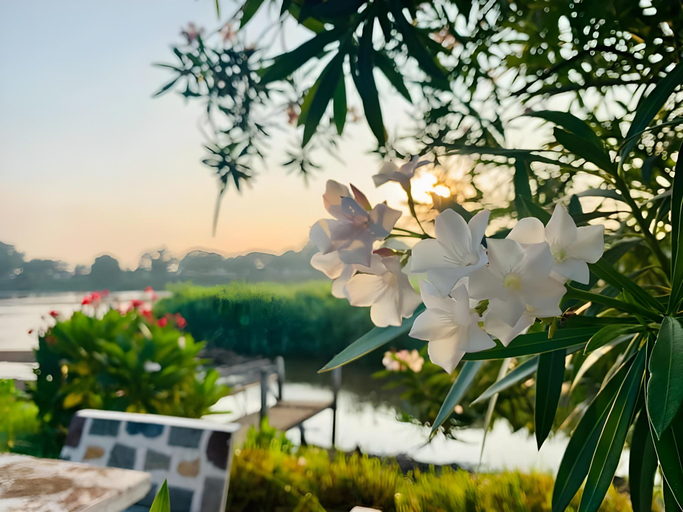 Others 4, Pingview Villa Resort, Muang Tak
