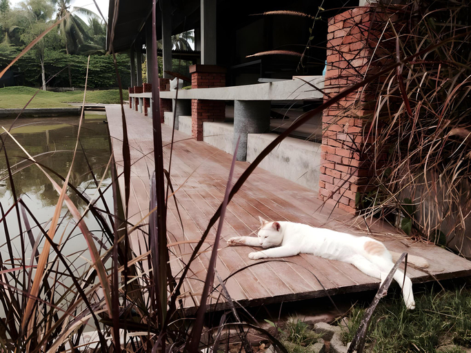 Others 5, Kanokrat Resort, Muang Samut Songkhram