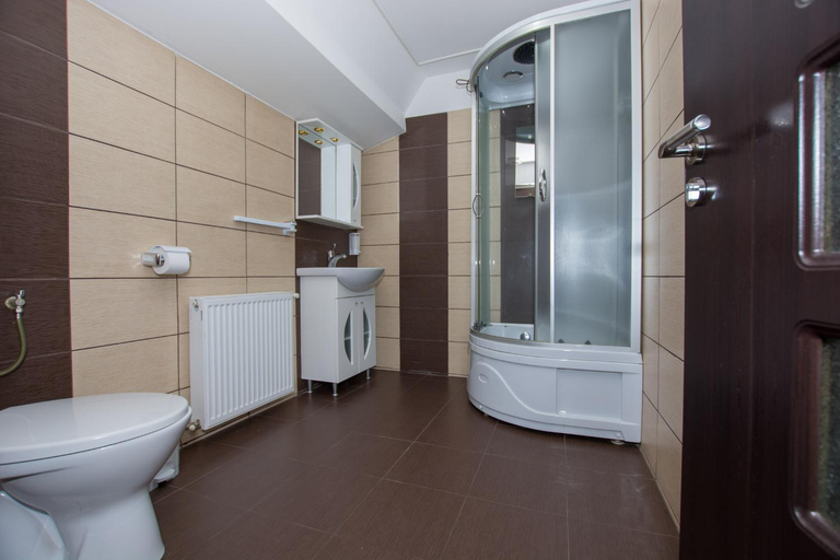 Bathroom 3, Pensiunea Panoramic - Transalpina Ranca, Novaci