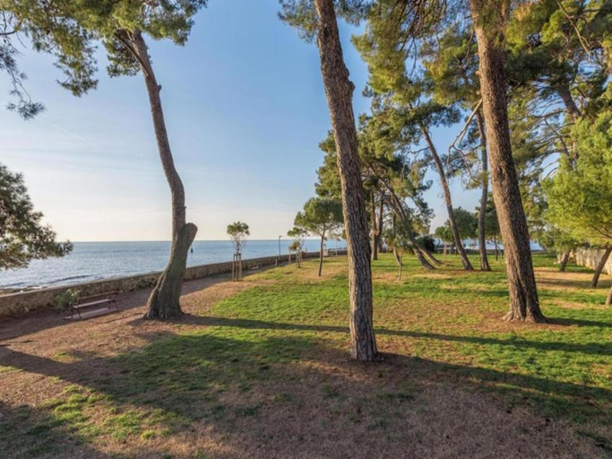 Surrounding environment 5, Holiday House in Novigrad with Pool, Novigrad