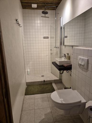Bathroom 2, Beautiful Guestroom to rent with a mountain view, Laugardalshreppur