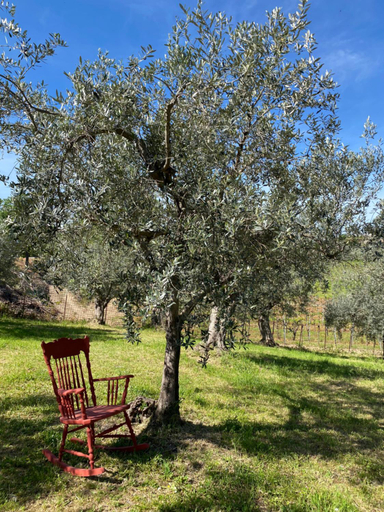 Others 4, B&B Alive Abruzzo, DOG FRIENDLY, Chieti
