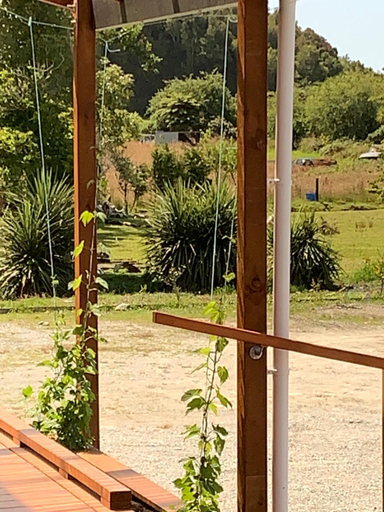 Others 4, Woodstock Cottage, Westland