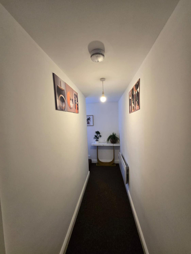 Entrance, Luxury stylish Charming City Apartment with Private Entrance in Wolverhampton, Wolverhampton