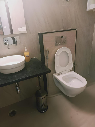 Bathroom 3, Hotel Ventus by Anvi Near Delhi Airport, Delhi