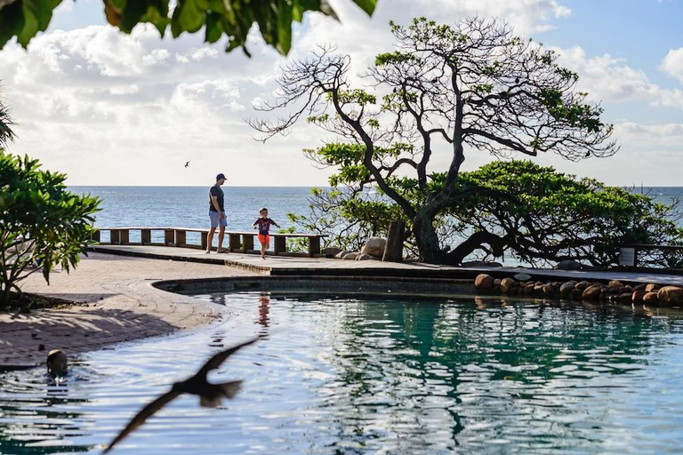 Sport & Beauty 3, Wilson Island, Calliope - Pt B