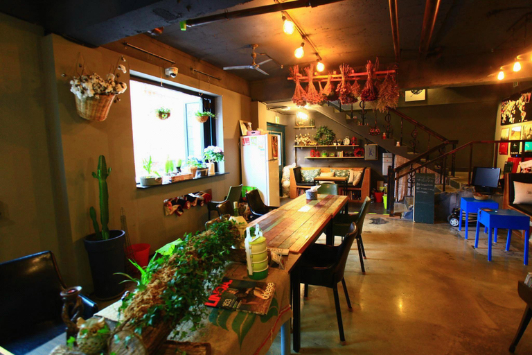 Food & Drinks 4, Jungle guesthouse, Danyang