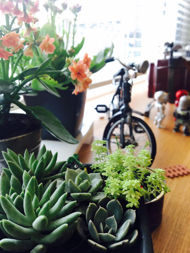 Food & Drinks 5, Interval, Yilan