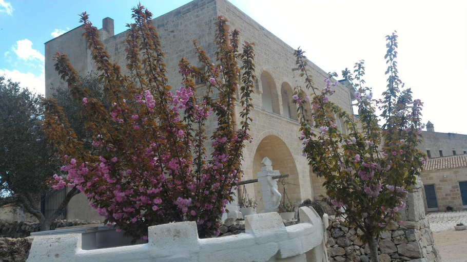 2, B&B Masseria Conti Filo, Bari