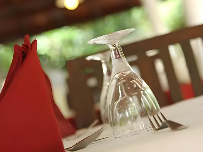 Food & Drinks 5, The MGS Hotel, Elpitiya