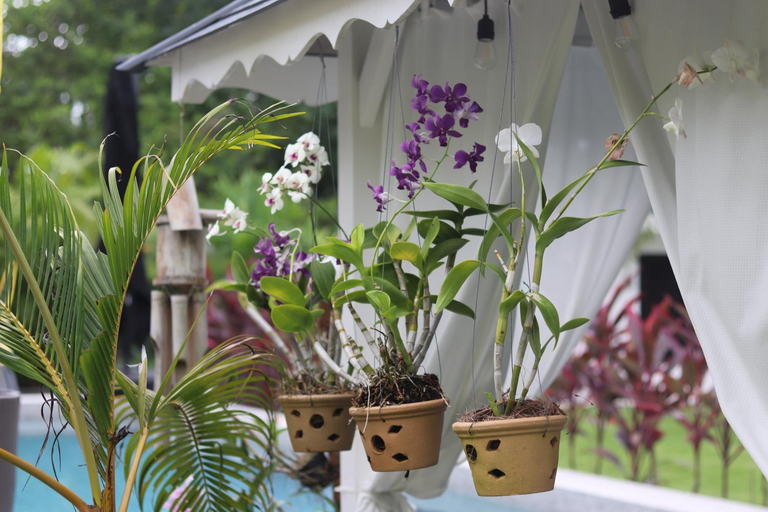 Others 3, Villa Beau Rivage, Bachok