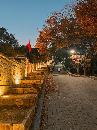 Others 5, walking with dog, Suwon