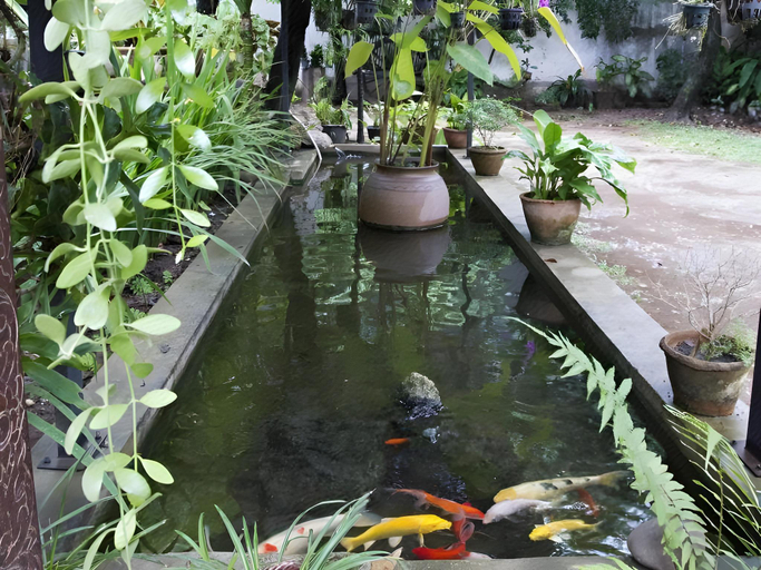 2, Lanis House by the Ponds, Vientiane