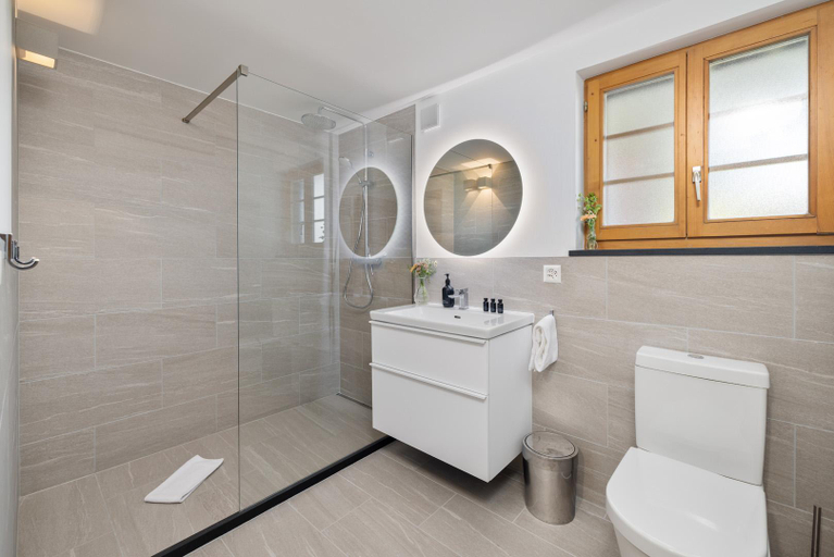 Bathroom, Chalet Les Crus, Martigny