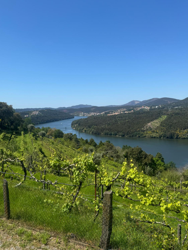 Others 5, Douro House 222, Castelo de Paiva