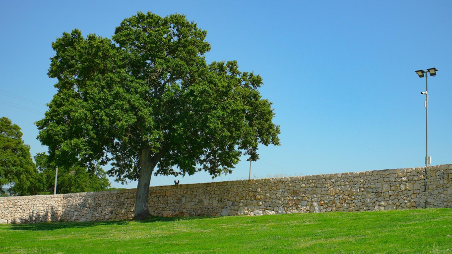 Exterior & Views 2, Masseria Surace, Bari