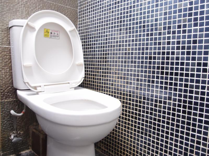 Bathroom 4, Jinhai Hotel, Kowloon