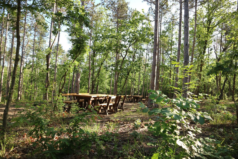 Others 5, Bellevue golden sands, Varna