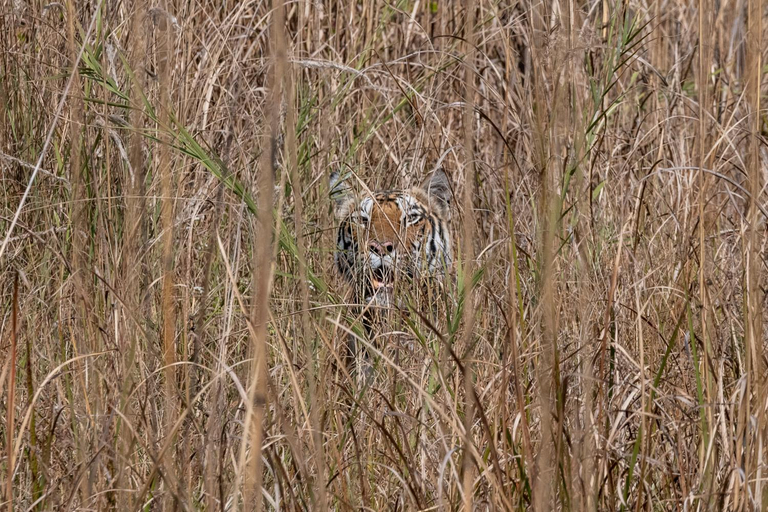 3, The Oberoi Vindhyavilas Wildlife Resort, Umaria