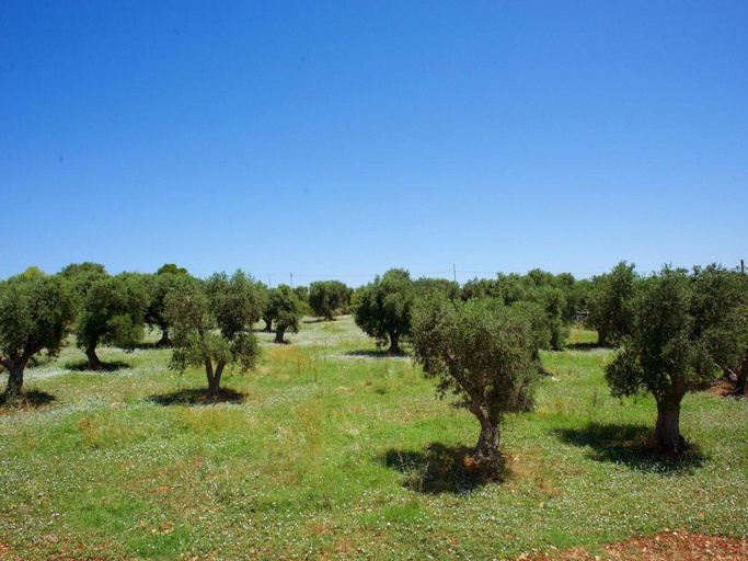 Others 5, Country House in Apulia near Alberobello, Brindisi