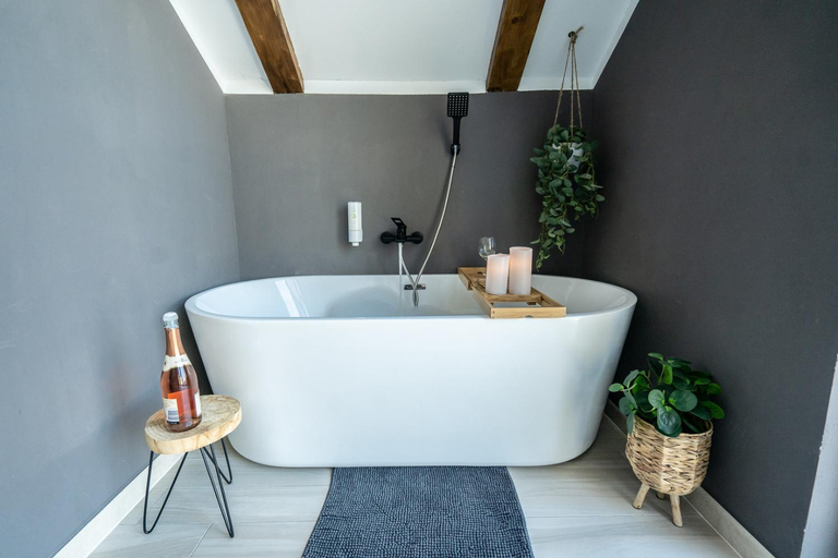 Bathroom 3, Vila Blanc Valiug Crivaia, Valiug