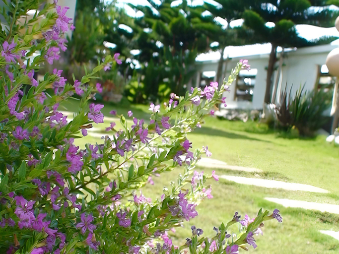 Others 5, Summer Time Bed and Breakfast, Penghu