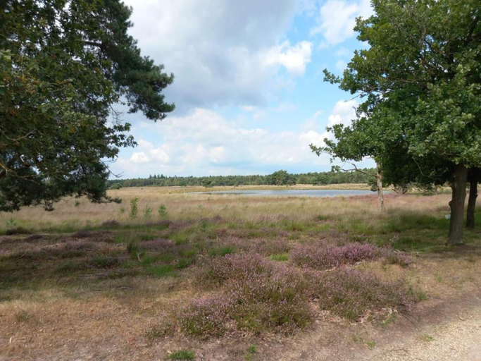 3, Bungalow in De Peel by Tranquil Forest, Deurne