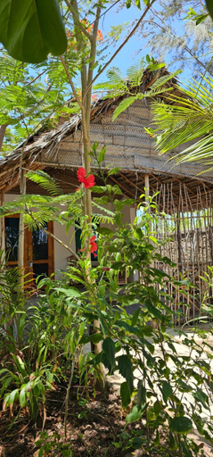 3, Z Village Lodge Paje, Kusini