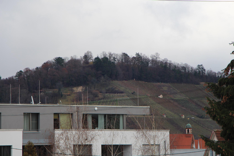 Exterior & Views 2, Ermis Apartments, Reutlingen