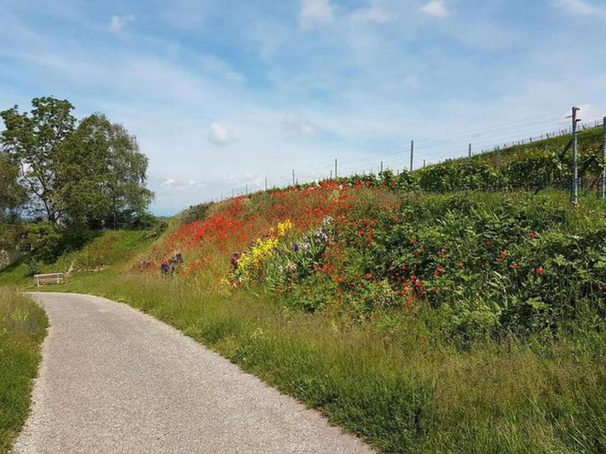 Others 5, Ferienwohnung in Bischoffingen, Breisgau-Hochschwarzwald