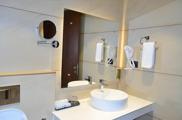 Bathroom 5, The Aurum Subrahmanya, Dakshina Kannada
