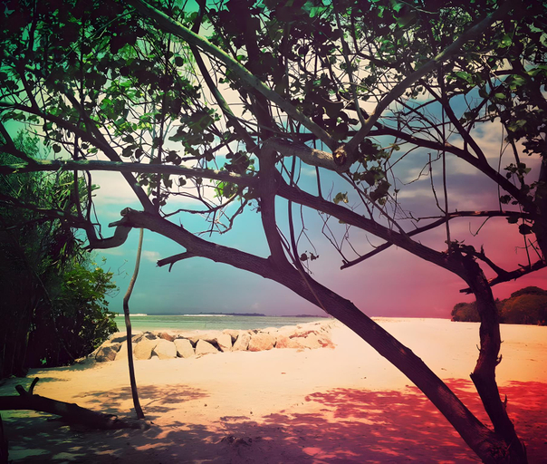 Others 4, Iru Guest House, Kaafu Atoll
