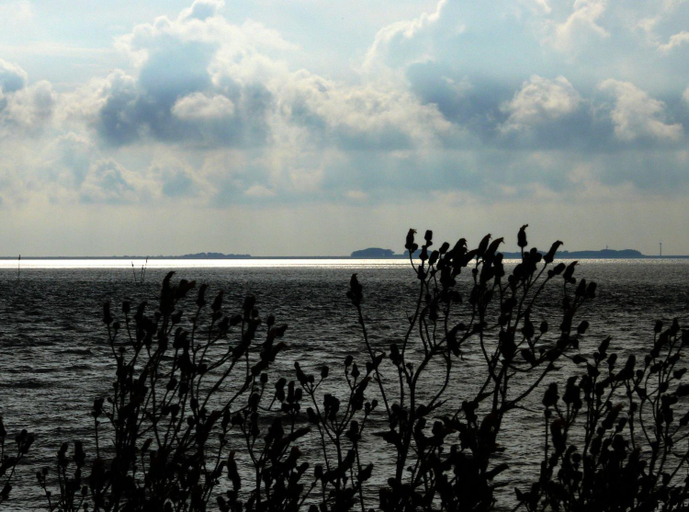Others 2, Pellworm in Haus Halligblick, Nordfriesland
