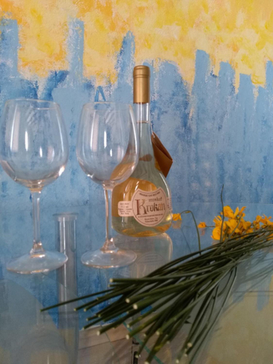 Food & Drinks 5, Apartmani Jovanovic