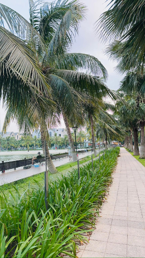 Public areas, Homestay Nhà Thu Thu Vinhome Ocean Park Hà Nội, Gia Lâm