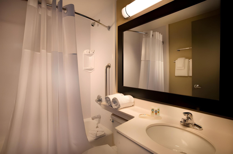Bathroom 4, Hudson River Hotel, New York