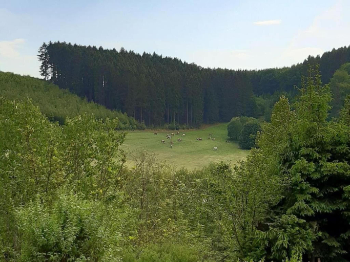 Others 5, Silbecke Forest View Apartment, Olpe