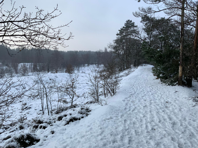 Others 4, Tussen Heide en Bos, unwind in nature, Limburg