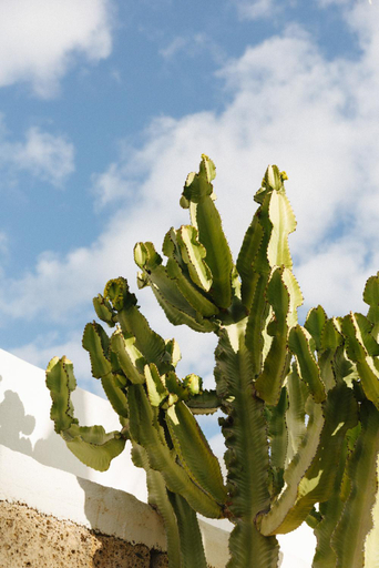 Surrounding environment, Casa Jable Roja, Santa Cruz de Tenerife