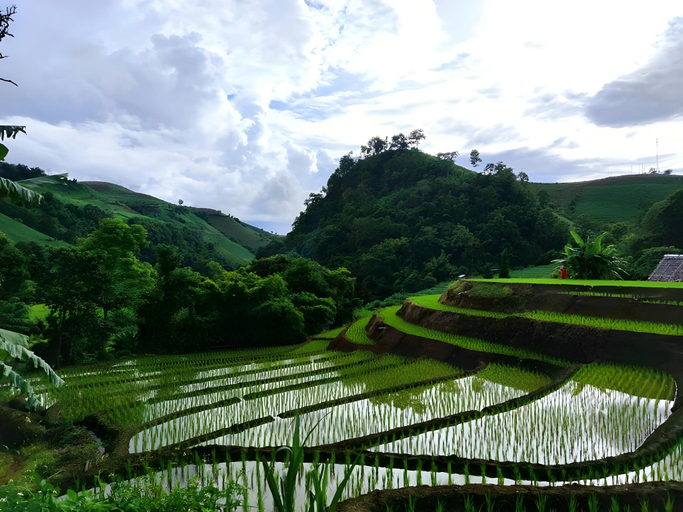 Others 3, Kowit Maechaem Farmstay, Mae Chaem
