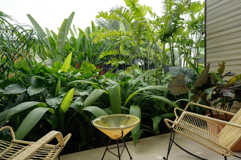 Others 5, SUWA VILLA ARENAL, San Carlos