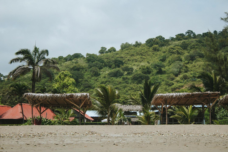 Others 5, Ayampe Guest House, Puerto López