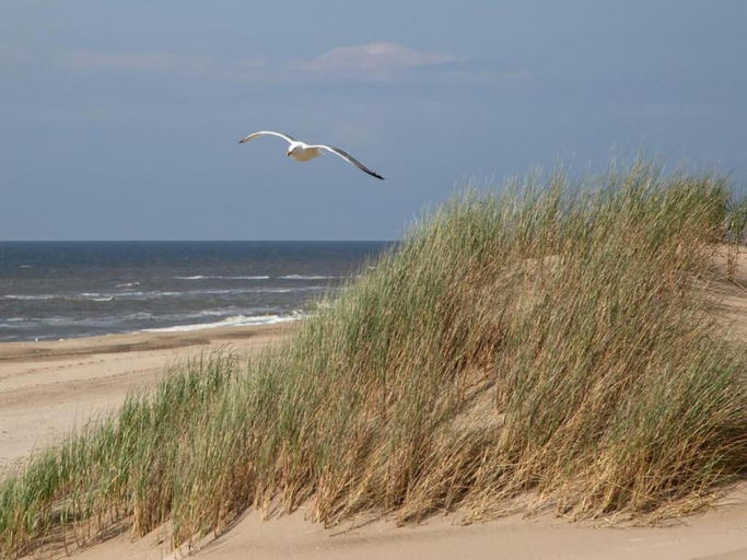Others 4, Apartment in Noordwijk near North Sea, Noordwijk
