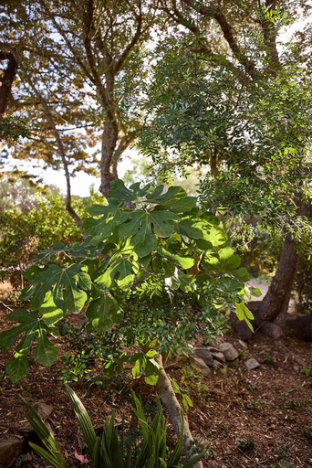 Surrounding environment