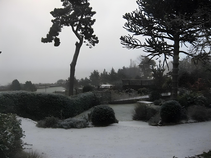 Others 5, Norwegian Wood, Torbay