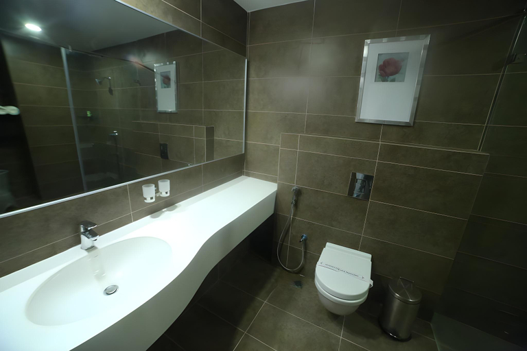 Others 5, Alexander Luxury Hotel, Anantapur